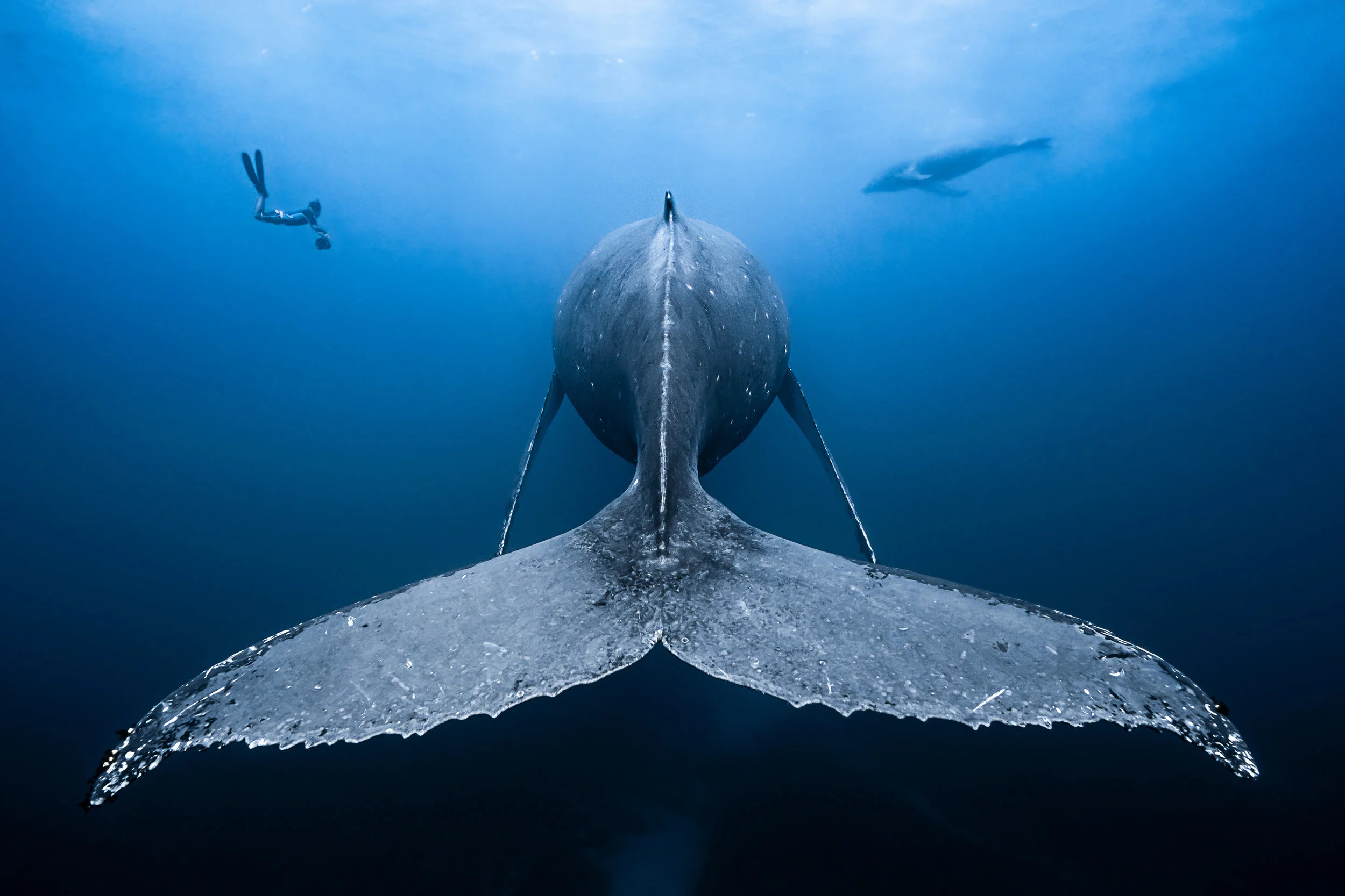 Ocean Photography